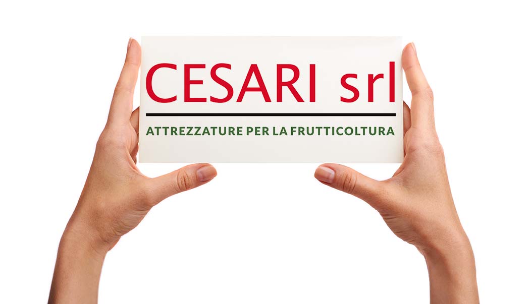 nuovo logo cesari srl